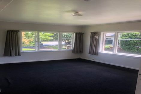 Photo of property in 162 Hutchinson Avenue, New Lynn, Auckland, 0600
