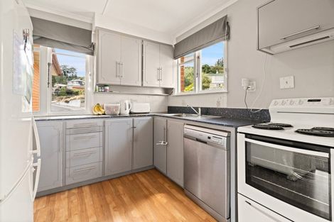 Photo of property in 43 Bryant Street, Kenmure, Dunedin, 9011