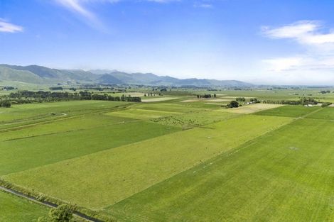 Photo of property in 145 Campbells Road, Pine Hill, Dunedin, 9010