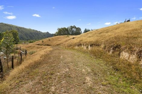Photo of property in 572 Riwaka Valley Road, Riwaka, Motueka, 7198