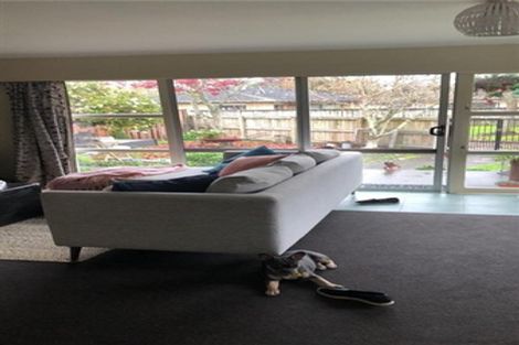 Photo of property in 43b Sillary Street, Hamilton East, Hamilton, 3216