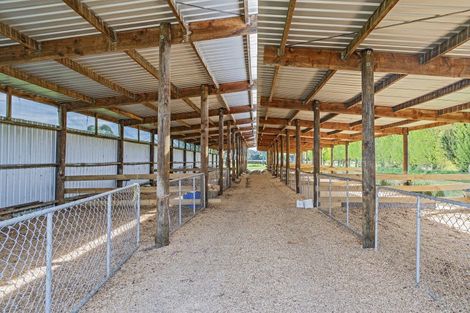 Photo of property in 41 Poplar Lane, Lincoln, Christchurch, 7674