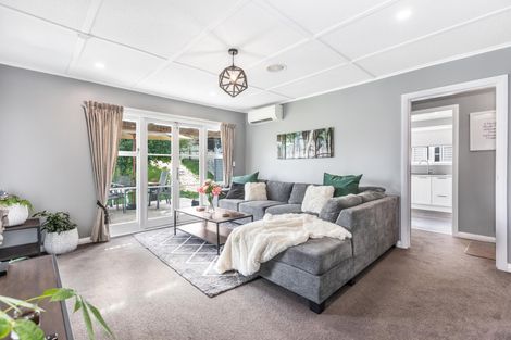 Photo of property in 43 Allen Street, Morrinsville, 3300