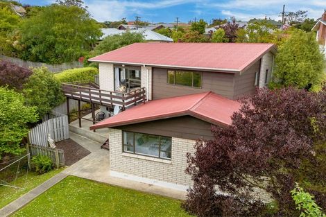 Photo of property in 161 Scott Street, Waverley, Dunedin, 9013