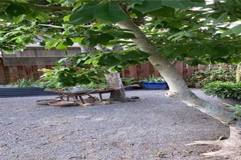 Photo of property in 43b Sillary Street, Hamilton East, Hamilton, 3216