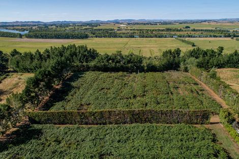 Photo of property in 159 Plantation Road, Rangiriri, Te Kauwhata, 3782