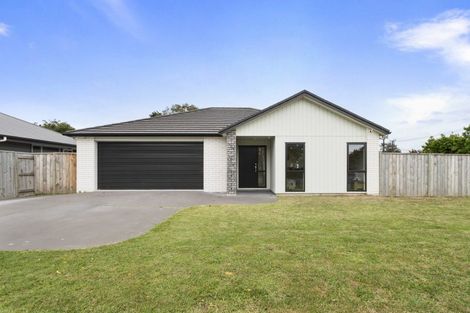 Photo of property in 61 Wilson Street, Bulls, 4818