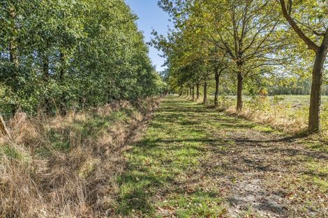 Photo of property in 599 Pesters Road, West Eyreton, 7475