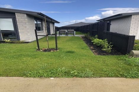 Photo of property in 15 Harp Street, Morrinsville, 3300