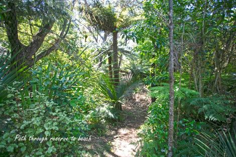 Photo of property in 3 Kayes Crescent, Waikawau, Coromandel, 3584