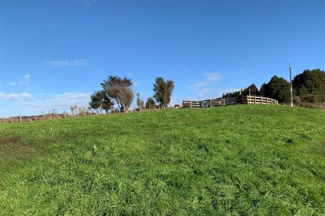 Photo of property in 131 Morrison Road, Pukekawa, Tuakau, 2696