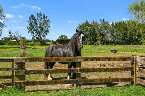 Photo of property in 179 Hautapu Road, Pukemoremore, Cambridge, 3493