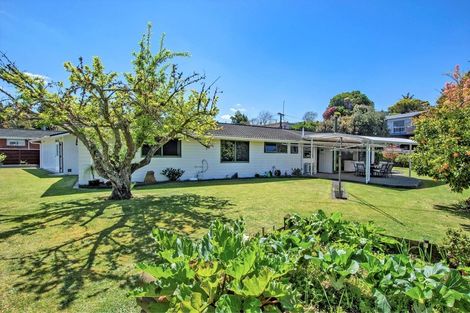 Photo of property in 14 Sierra Avenue, Te Kamo, Whangarei, 0112