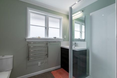 Photo of property in 22 Littlejohn Street, Hillsborough, Auckland, 1042