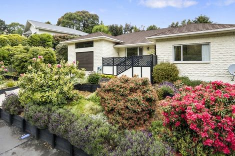 Photo of property in 160 Somerville Street, Waverley, Dunedin, 9013