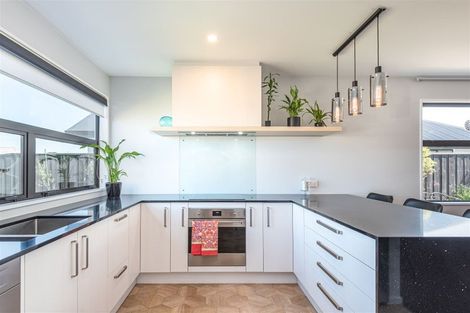 Photo of property in 41 Mills Road, Marshland, Christchurch, 8051