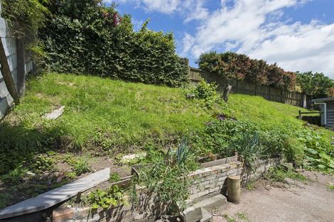 Photo of property in 69 Islington Street, Ponsonby, Auckland, 1011