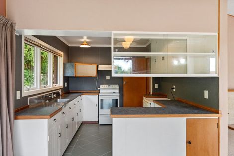 Photo of property in 17 Hamilton Street, Te Aroha, 3320