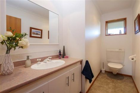 Photo of property in 9 Huntly Road, Outram, 9019