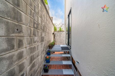 Photo of property in Vein & Skin, 38a Roxburgh Street, Mount Victoria, Wellington, 6011