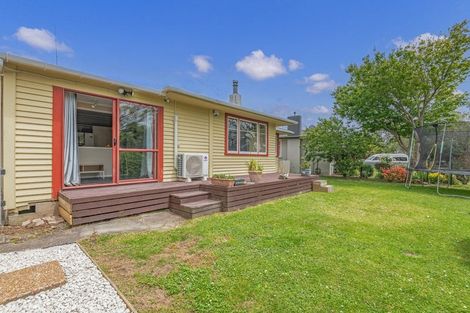 Photo of property in 24 Snowdon Avenue, Terrace End, Palmerston North, 4410