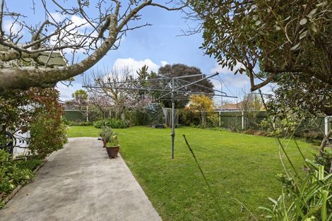Photo of property in 212 Victoria Avenue, Hokowhitu, Palmerston North, 4410