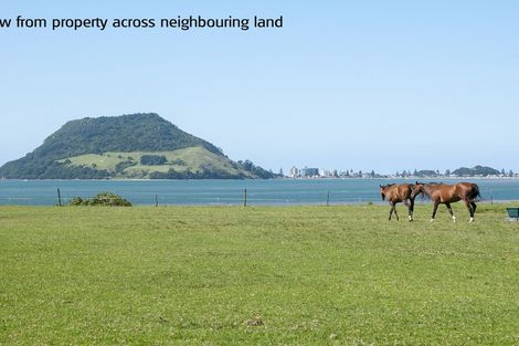 Photo of property in 197a Ngatai Road, Otumoetai, Tauranga, 3110