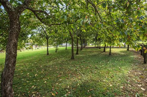 Photo of property in 587c Crane Road, Kauri, Kamo, 0185