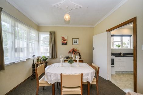 Photo of property in 25 Limbrick Street, Terrace End, Palmerston North, 4410