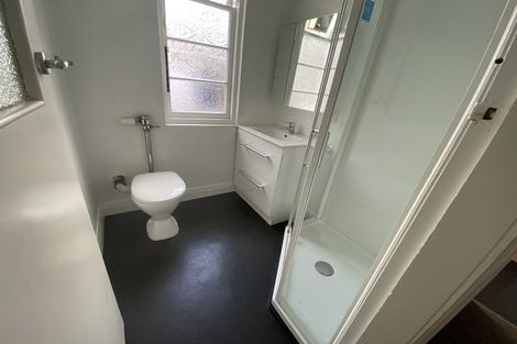 Photo of property in Norton Flats, 1/302 Willis Street, Aro Valley, Wellington, 6011