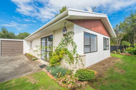 Photo of property in 117b Springvale Road, Springvale, Whanganui, 4501