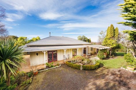 Photo of property in 34 Pirinoa Street, Feilding, 4702