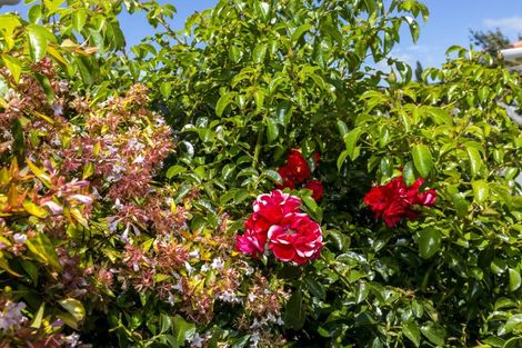 Photo of property in 8 Carlow Grove, Birchville, Upper Hutt, 5018