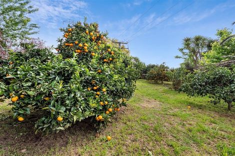 Photo of property in 37 Poike Road, Hairini, Tauranga, 3112