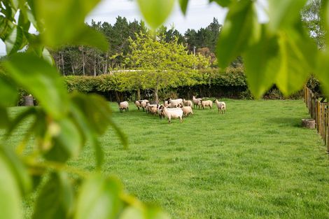 Photo of property in 1/3116 Ohaupo Road, Glenview, Hamilton, 3282