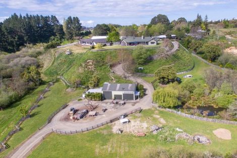 Photo of property in 7/35 Silverwood Lane, Leamington, Cambridge, 3495