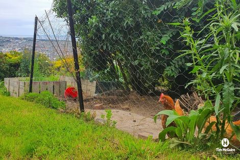 Photo of property in 139 Forfar Street, Clyde Hill, Dunedin, 9011