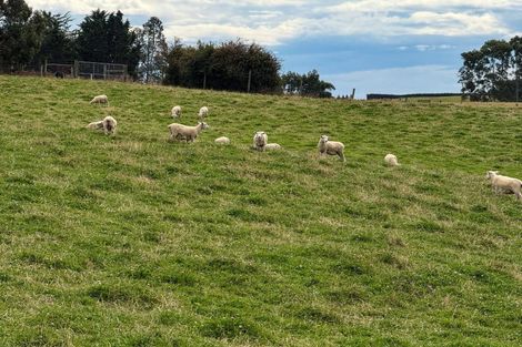 Photo of property in 10 Four Mile Creek Road, Te Houka, Balclutha, 9273