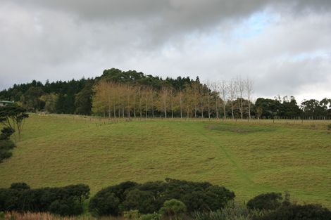 Photo of property in 56e Kaipara Coast Highway, Helensville, 0871