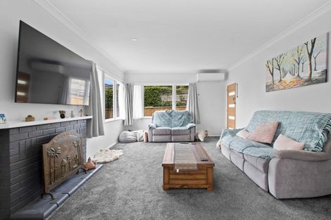 Photo of property in 20 Alison Street, Hamilton Lake, Hamilton, 3204