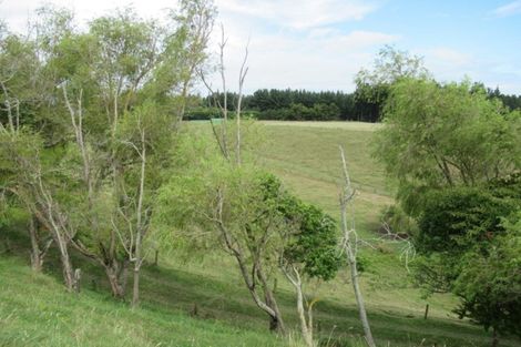 Photo of property in 81 Lindsay Road, Levin, 5510