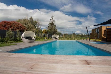 Photo of property in 99 Jellicoe Street, Martinborough, 5711