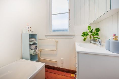 Photo of property in 95a Limbrick Street, Terrace End, Palmerston North, 4410