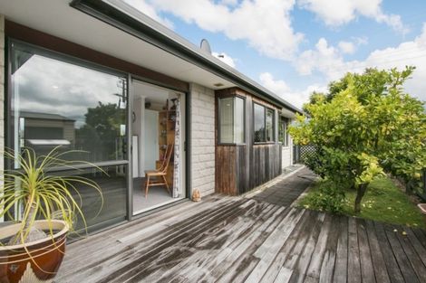 Photo of property in 117a Park Road, Katikati, 3129