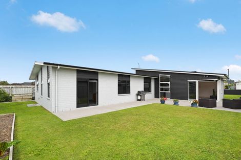 Photo of property in 224 Cumberland Drive, Flagstaff, Hamilton, 3210