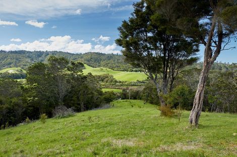 Photo of property in 53 Pakaru Road, Kawakawa, 0282