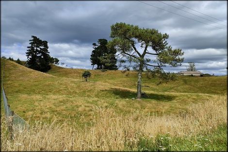 Photo of property in 333 Palmer Mill Road, Wairakei, Taupo, 3384