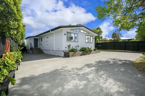 Photo of property in 63 Sycamore Drive, Sunnynook, Auckland, 0620