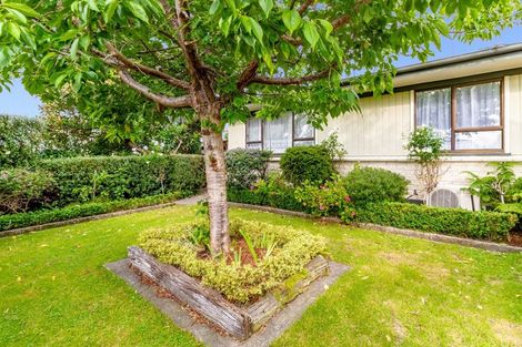 Photo of property in 77 York Avenue, Tamatea, Napier, 4112