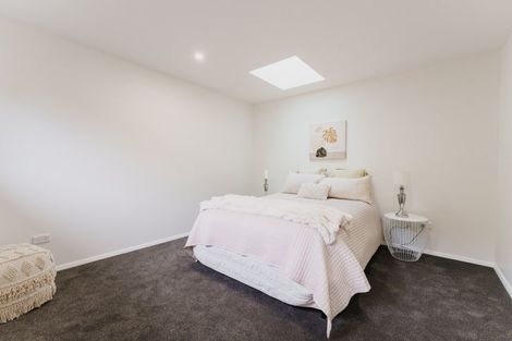 Photo of property in 21 Pacific Street, Roslyn, Dunedin, 9010